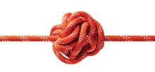 Close-up of knot